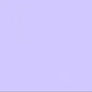 Meet your Posher, Evie